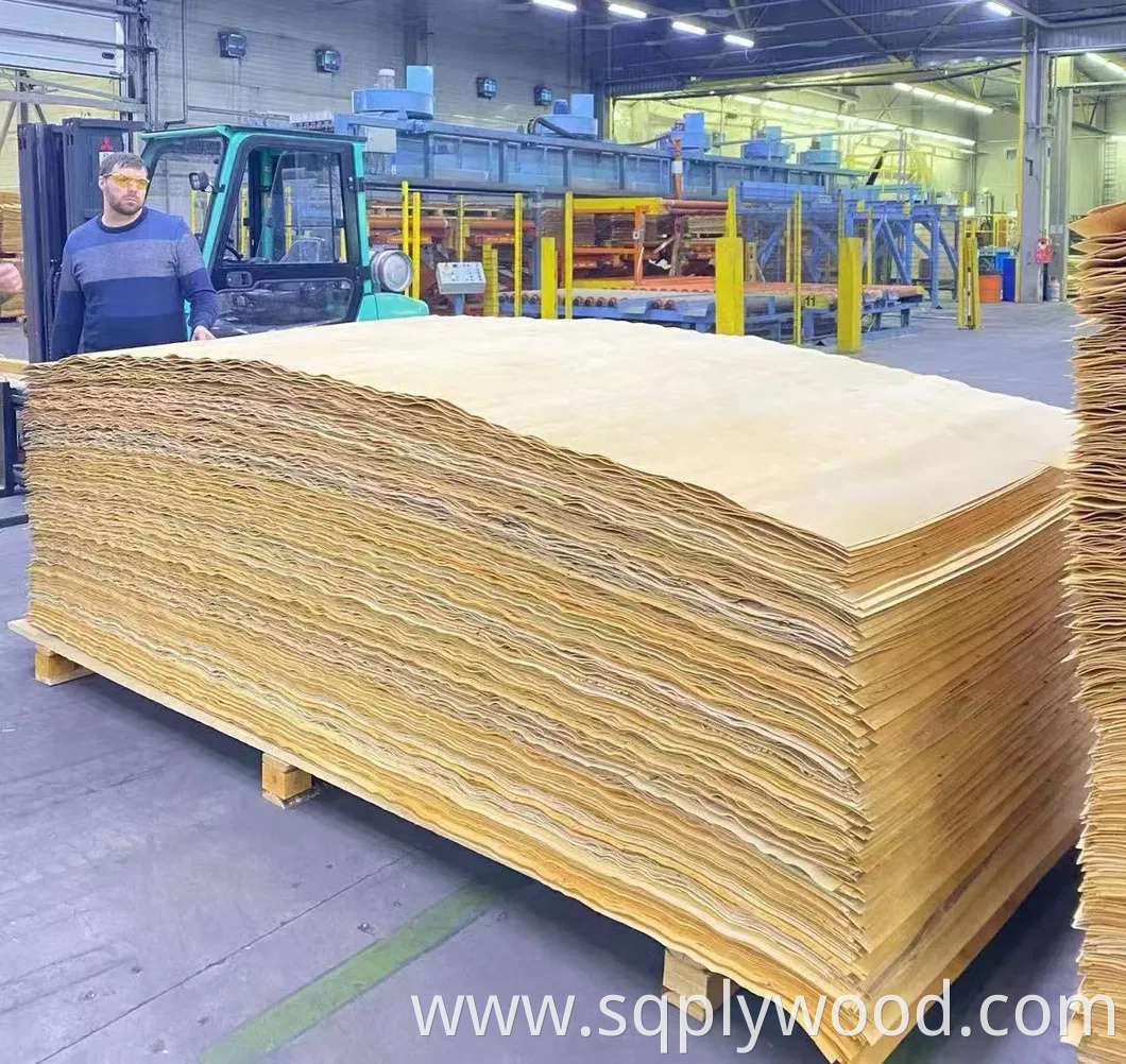 9/12/18mm Melamine Film Faced Poplar Pine Birch Marine Laminated Veneer Shuttering Plywood